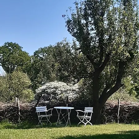Wald Und Weitblick Dreschvitz