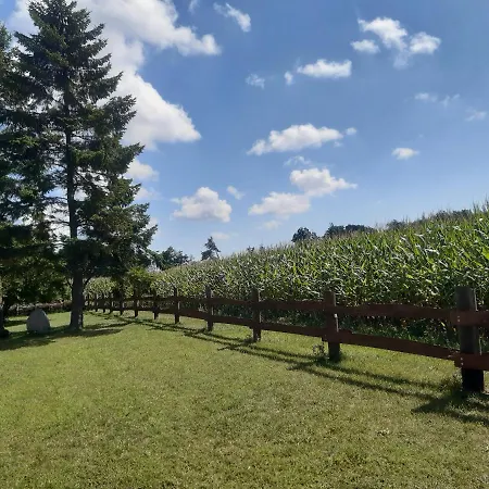 Wald Und Weitblick Dreschvitz
