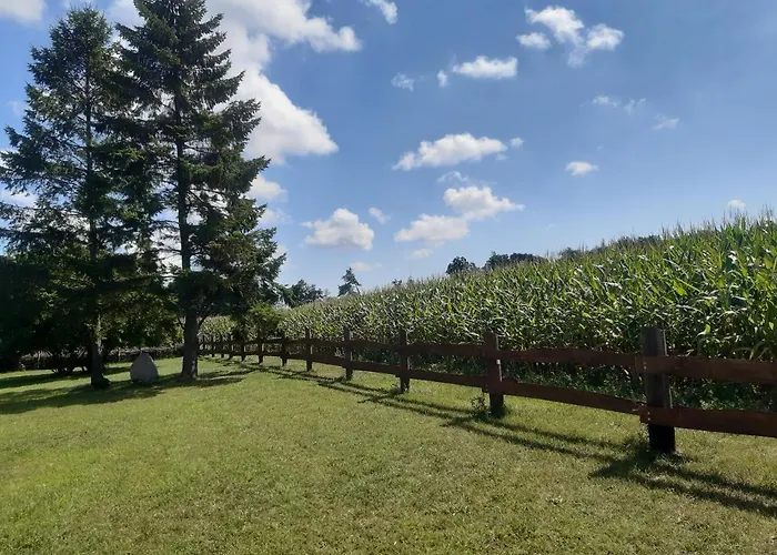 Wald Und Weitblick 德雷施维茨